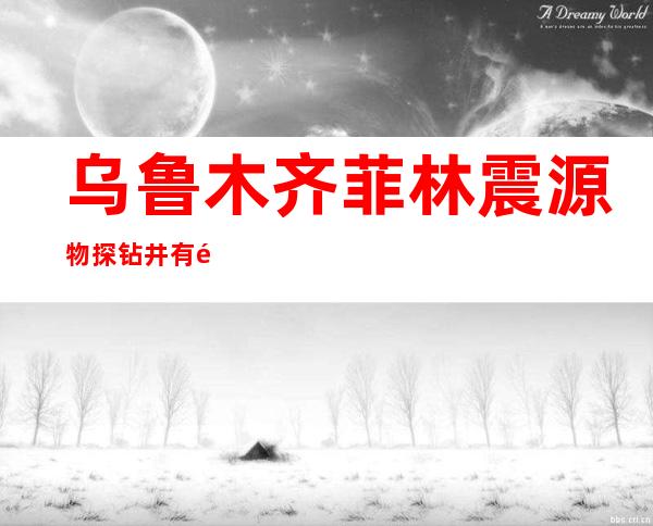 乌鲁木齐菲林震源物探钻井有限公司